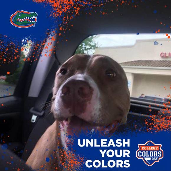 Meet your Posher, Keith - Picture 1 of 1